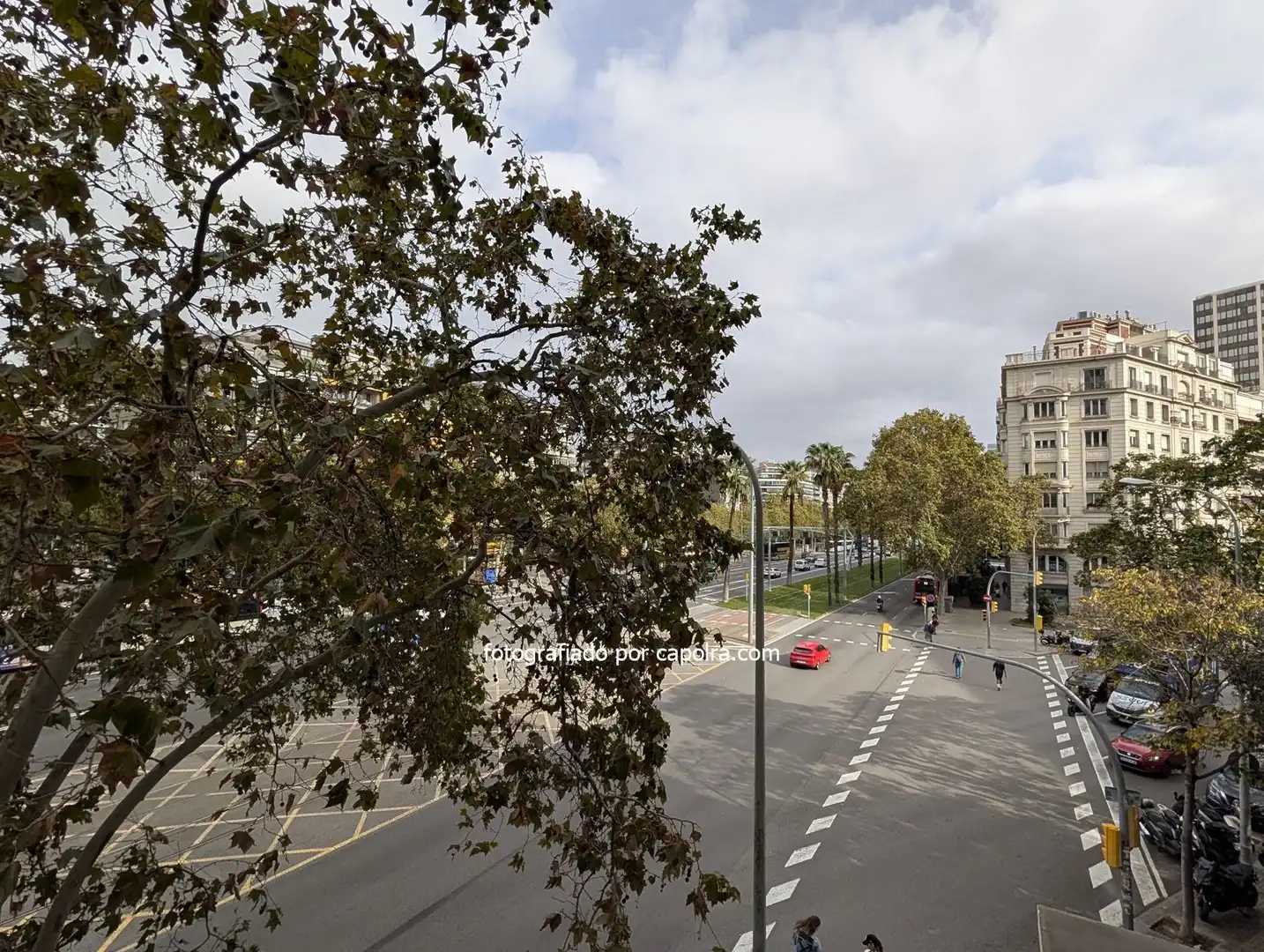 Büro mit Aufzug zum Verkauf in diagonal 523, imagen 11