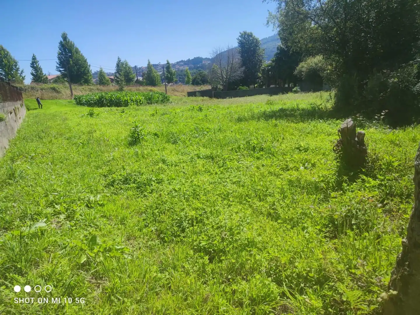 Terrain rustique à vendre à Valadares - Beade, imagen 2