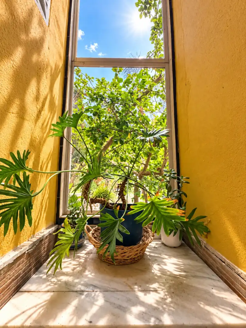 Terraza de Casa o chalet en venta en Sant Antoni