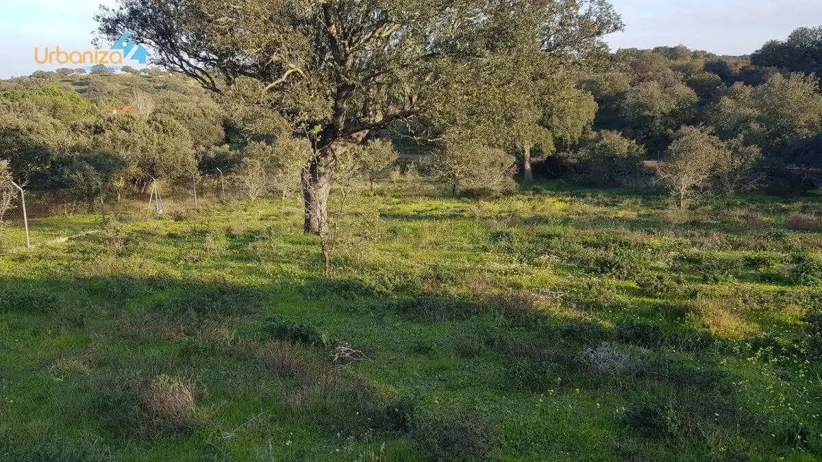 Terreni e lotti in vendita a Calle hortelano, imagen 10