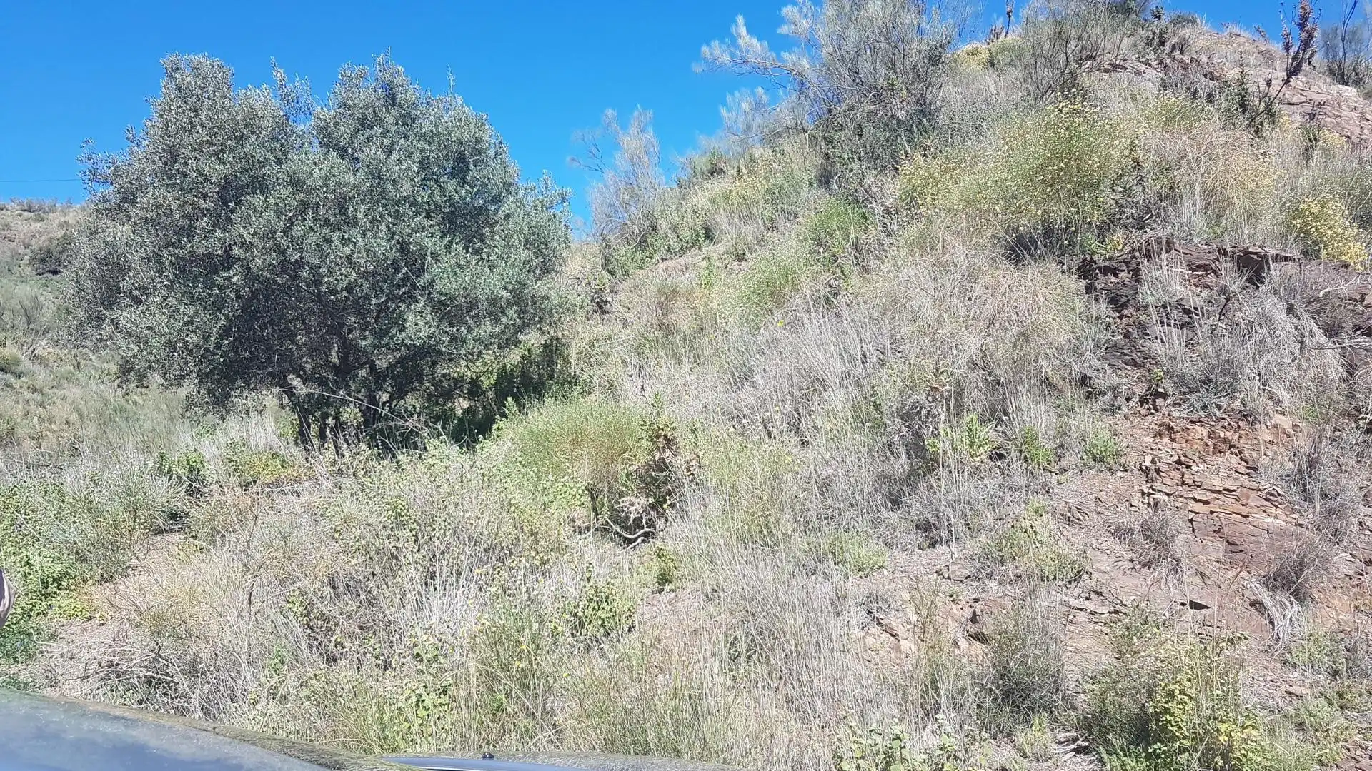 Terreni e lotti in vendita a Los Rueda, imagen 3