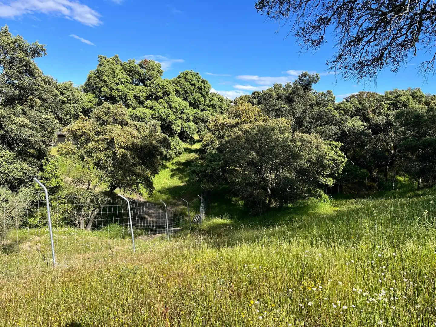Finca rústica en venta en Santa Cruz del Retamar pueblo