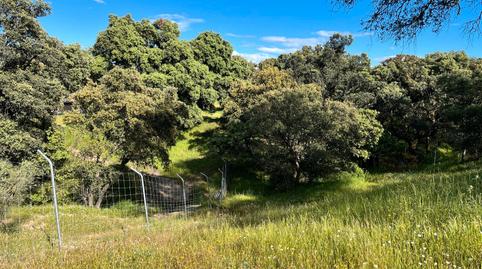 Foto 5 de Finca rústica en venda a Santa Cruz del Retamar pueblo, Toledo