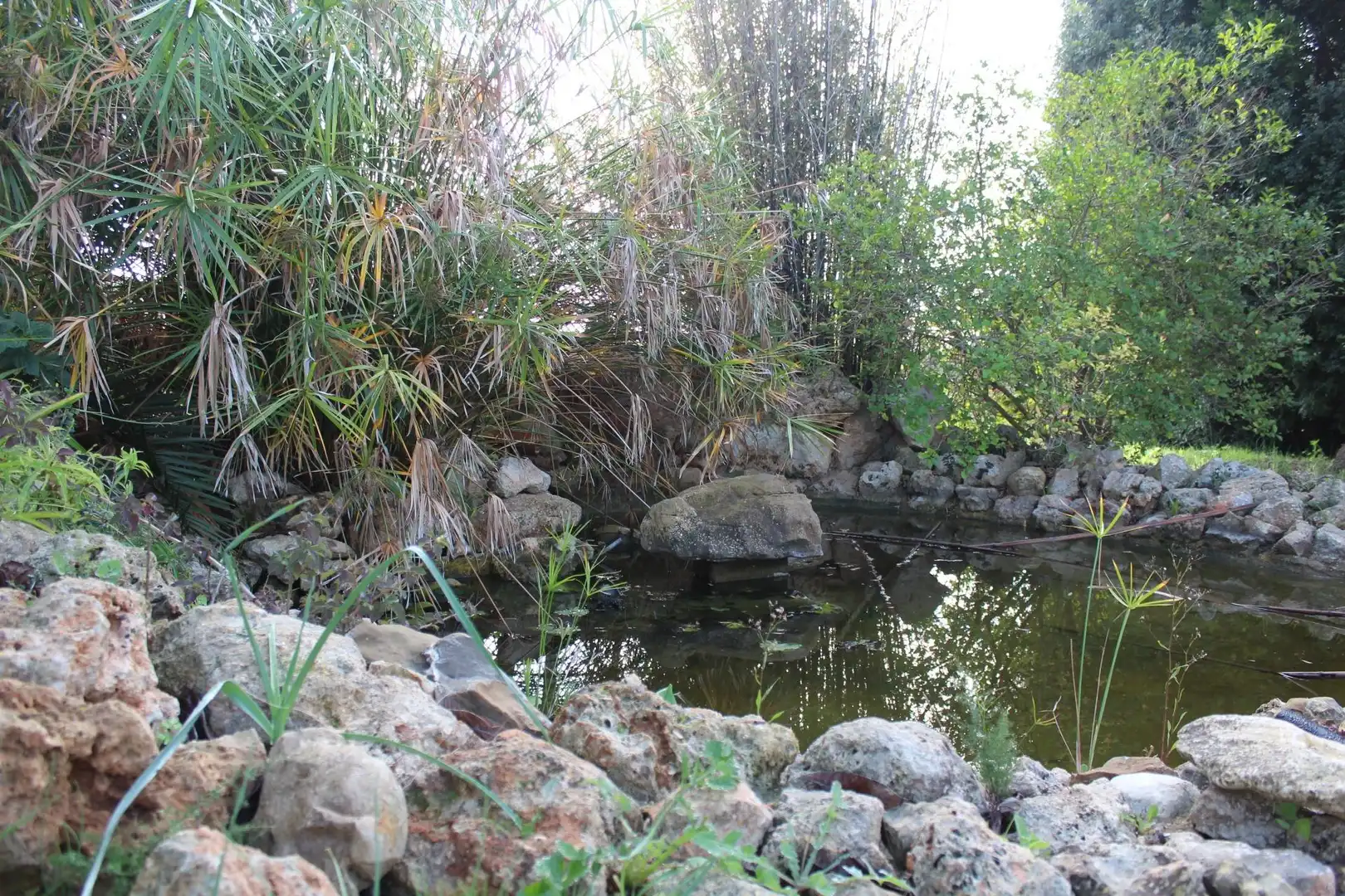 Villa avec piscine à vendre à Zona Periurbana, imagen 14