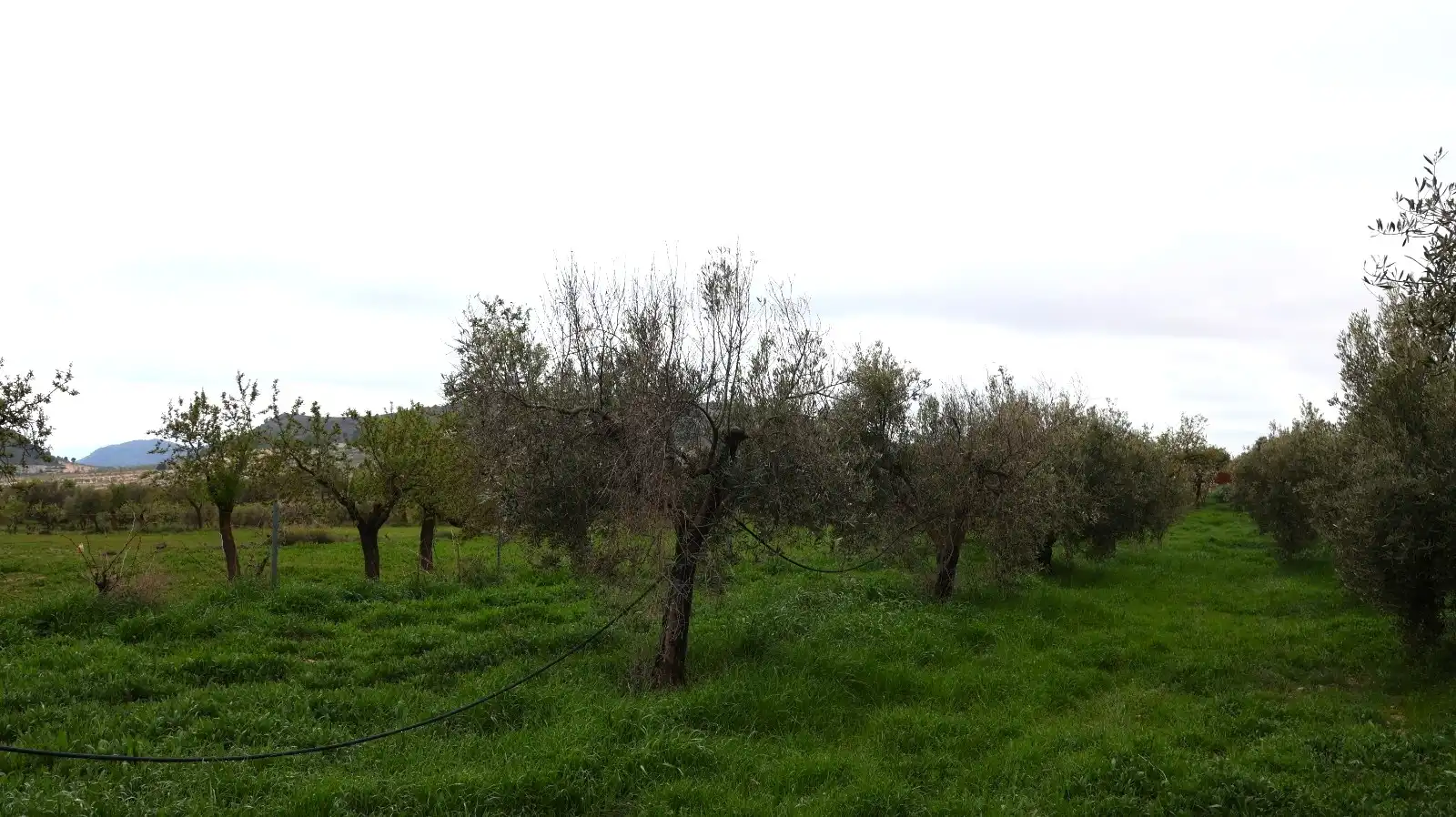 House for sale in Oria, imagen 28