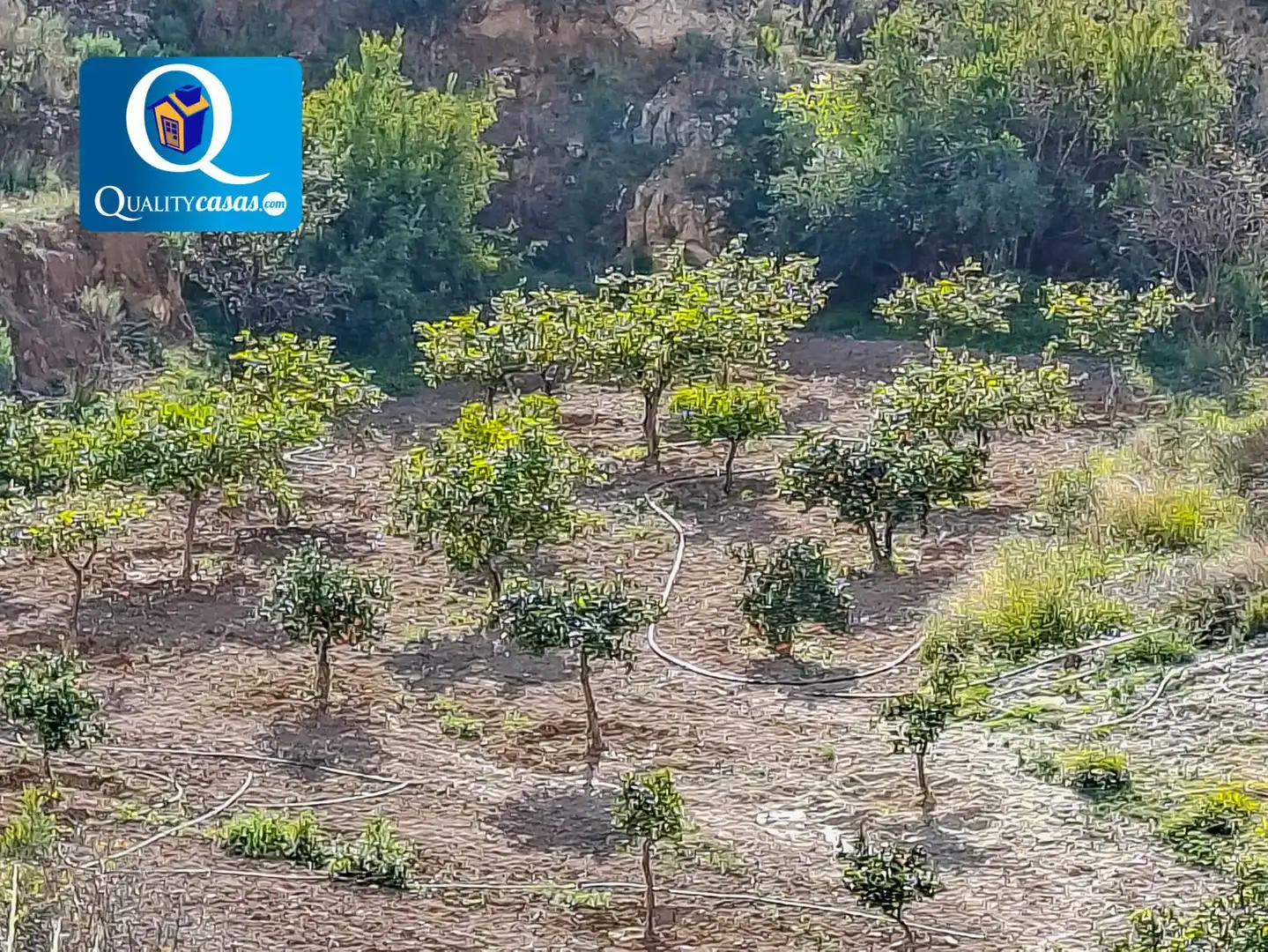 Villa à vendre à Jijona / Xixona, imagen 25