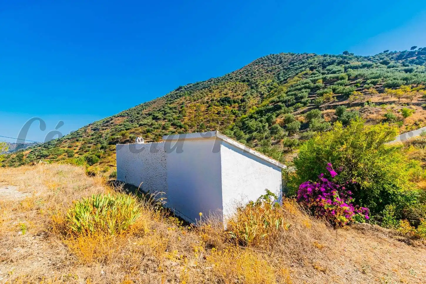 Casa con jardín en venta en Arenas, imagen 17