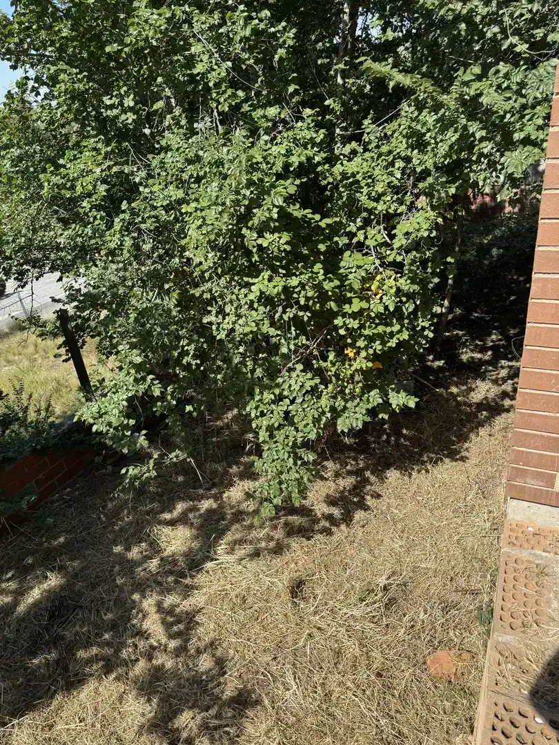 Casa o chalet en venta en Polinyà con Jardín privado