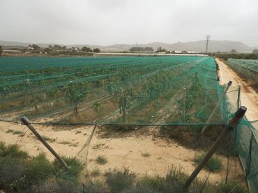 Terreno residencial en venta en Monforte del Cid