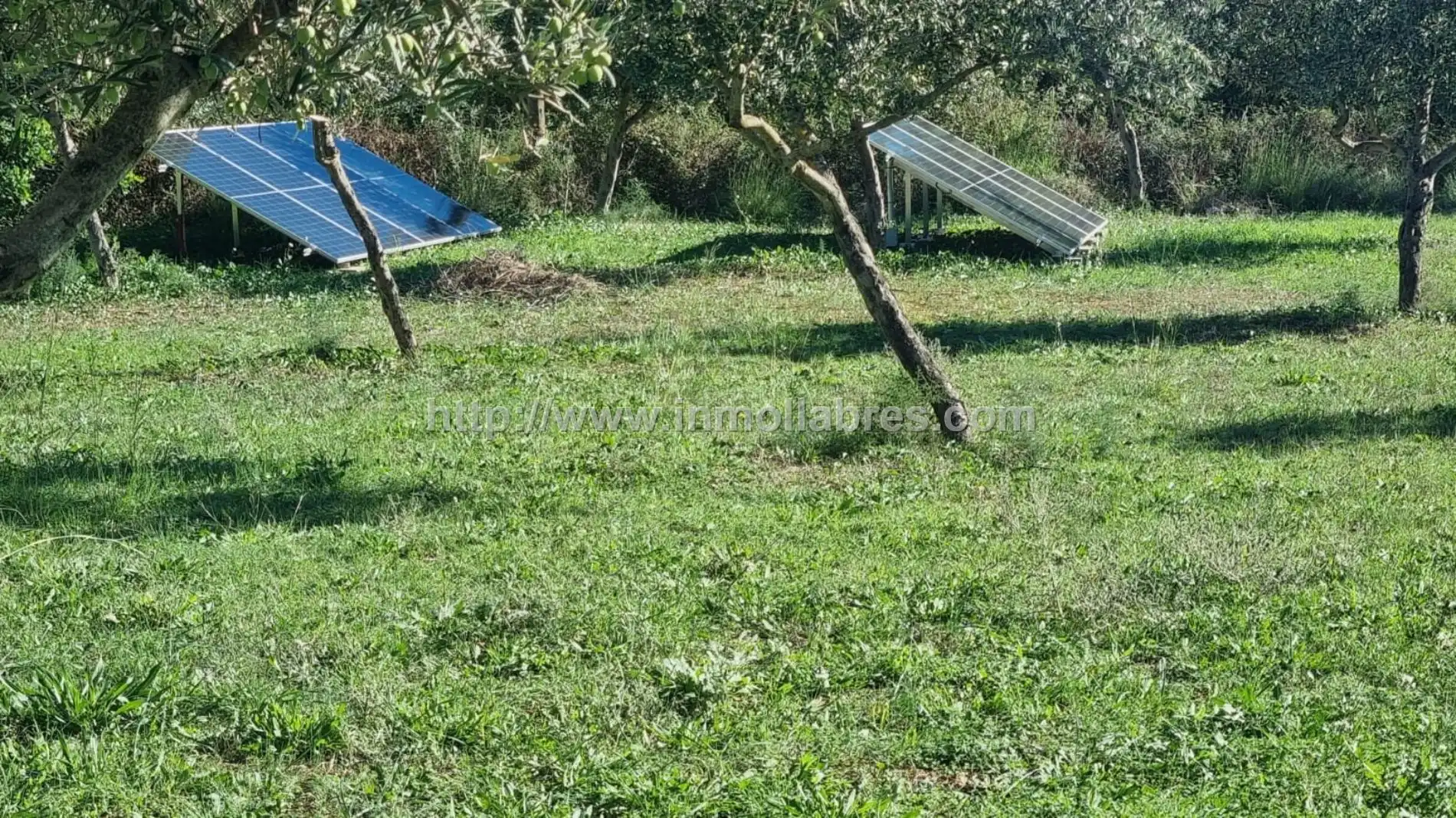 Casa rustica in vendita a Selva, imagen 12