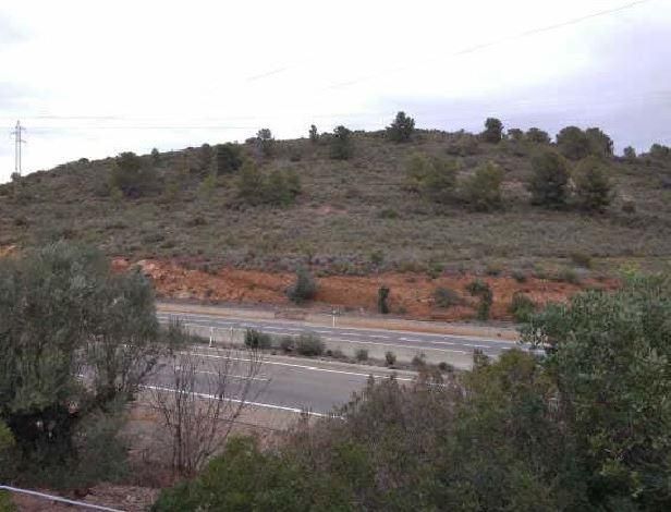 Land for sale in Algímia de Alfara