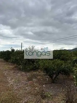 Rustikales Grundstück zum Verkauf in Xàtiva, imagen 4