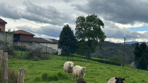 Photo 4 of Residential for sale in Caserio Vare, Parroquias Norte, Asturias