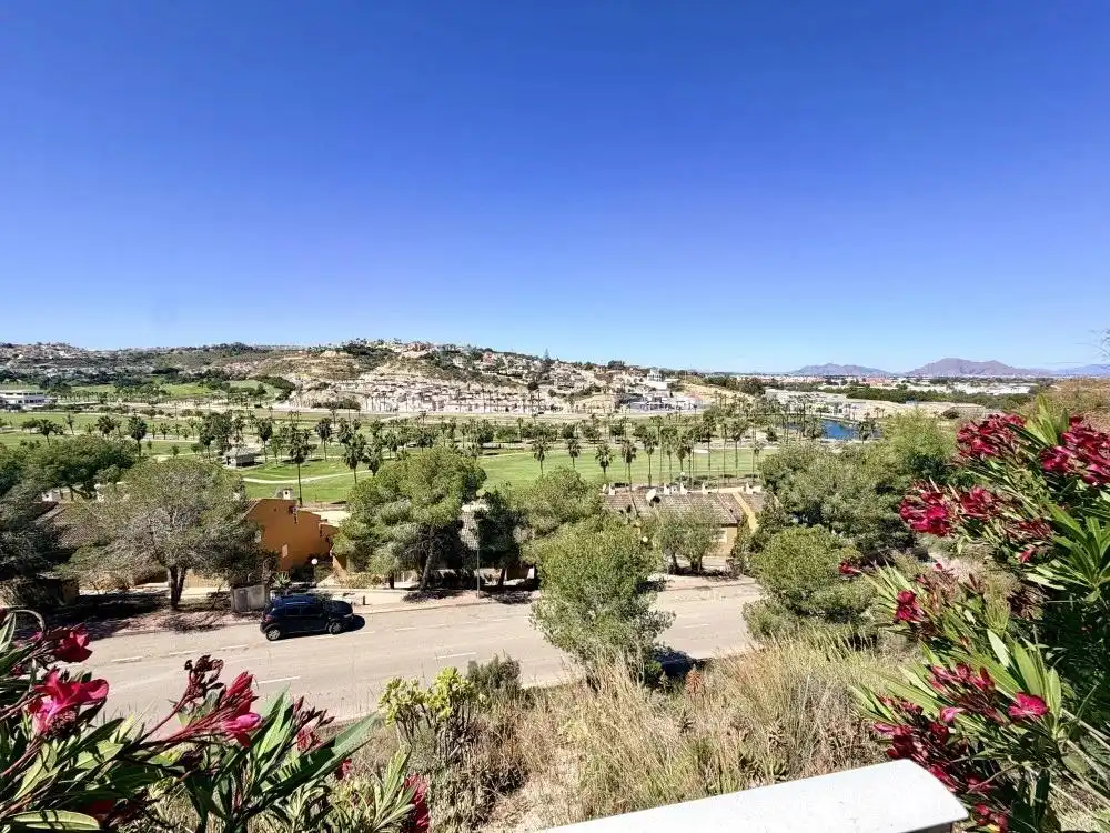 Vista exterior de Casa o chalet en venta en Rojales