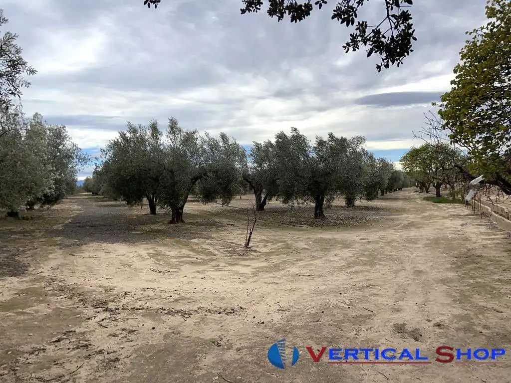Casa o chalet en venta en Caudete