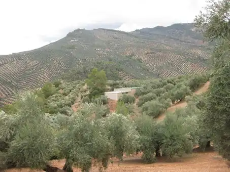 Terreni e lotti in vendita a Ptda Huerta del Cura - Polígono 42 -, imagen 9