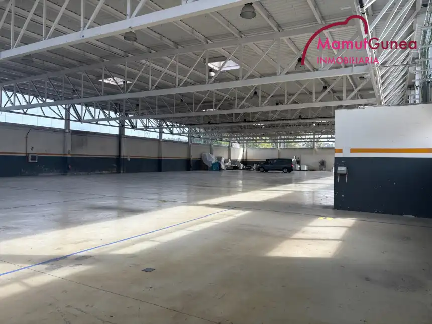 Industrial building to rent in Lapice - Larreaundi - Olaberria - Meaka, imagen 17