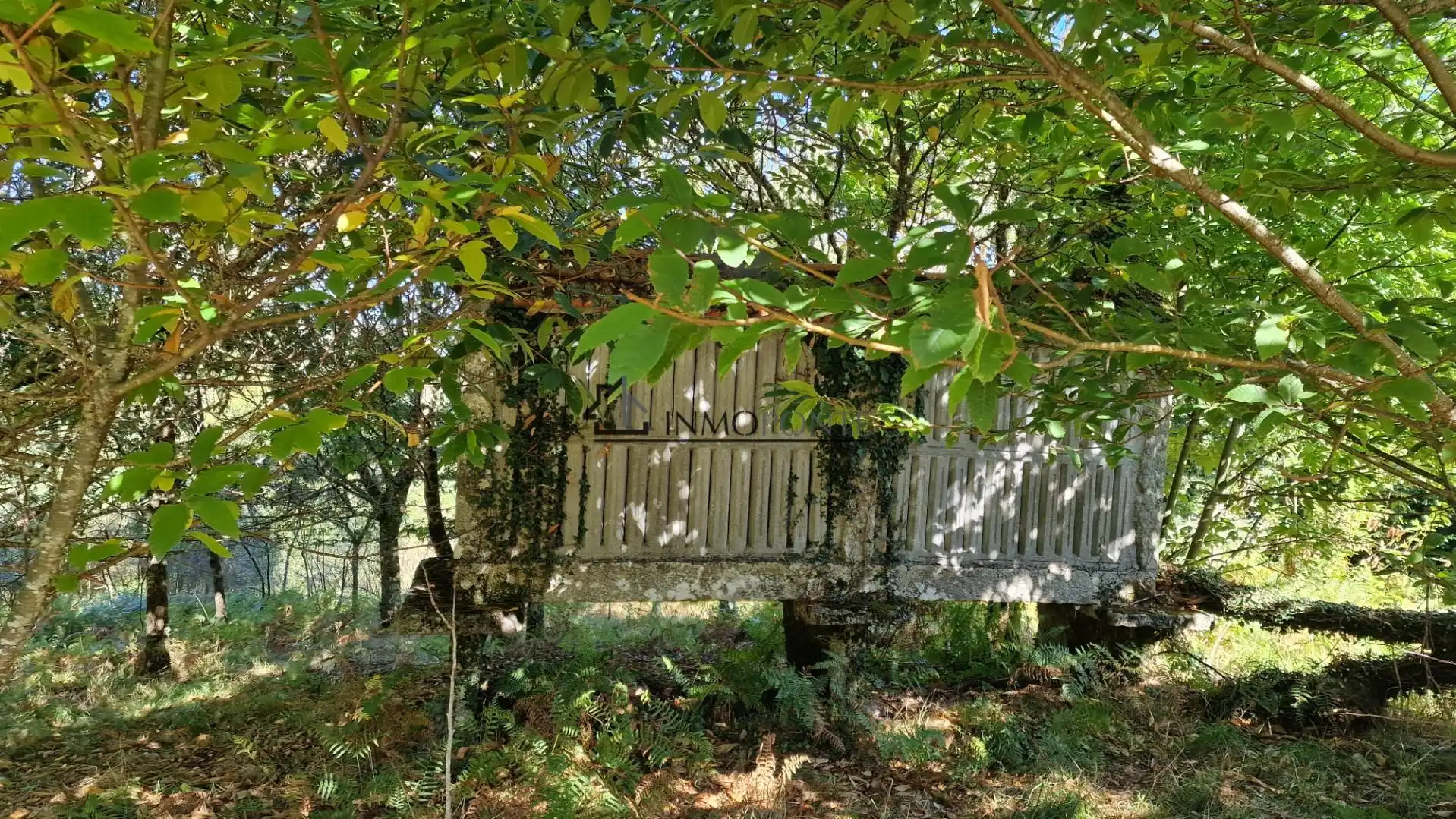 Houses for sale in Cerdedo
