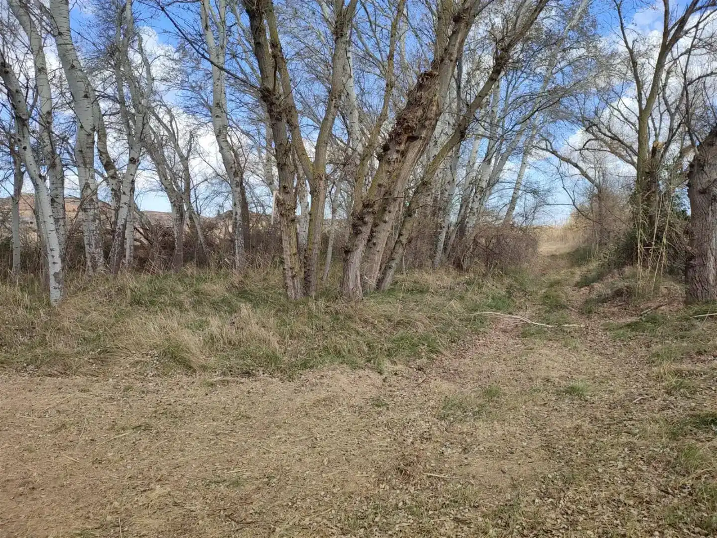 Land for sale in Botorrita