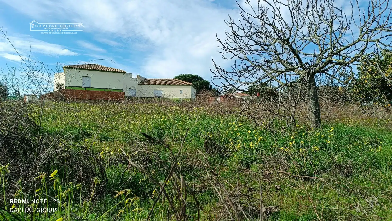 Terrenos y solares en venta en Gibraleón, imagen 15