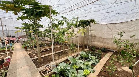 Foto 4 de Casa o chalet en venta en Garachico, Santa Cruz de Tenerife