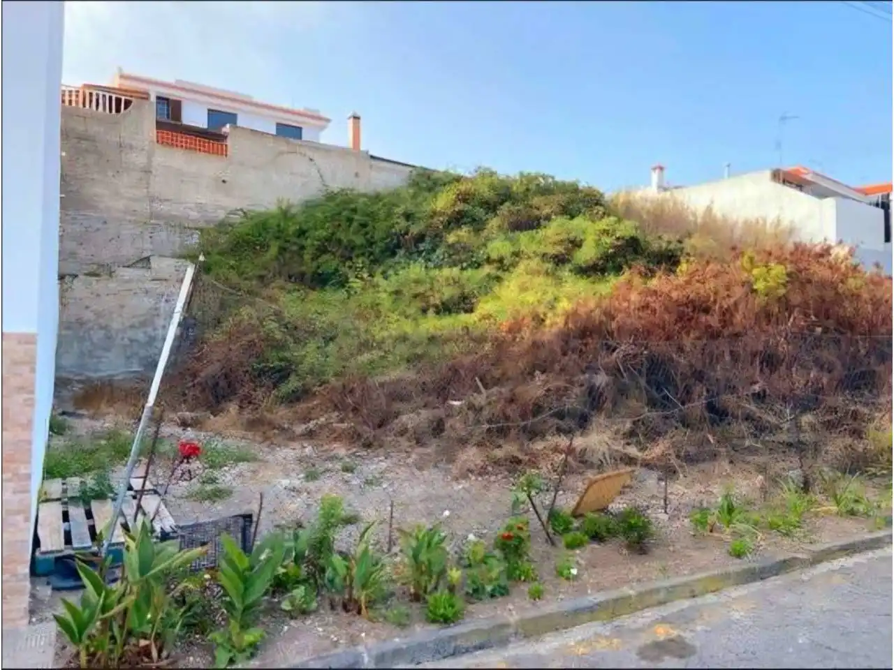 Rural land for sale in Calle Senecio, imagen 2