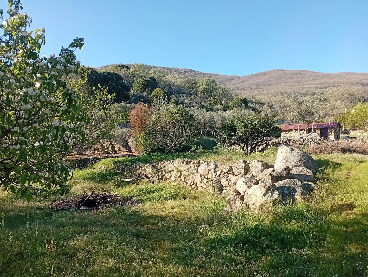Terreno en venta en Valverde de la Vera