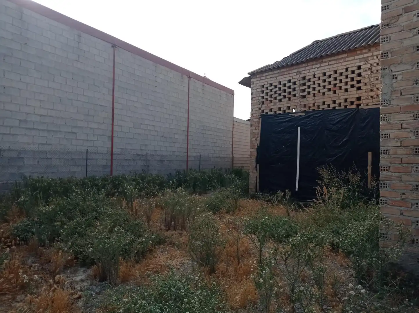 Lands and plots for sale in Purchil, imagen 8