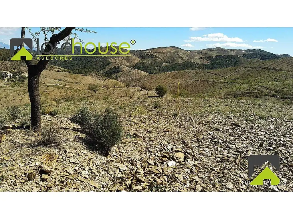 Finca rústica en venta en Lorca