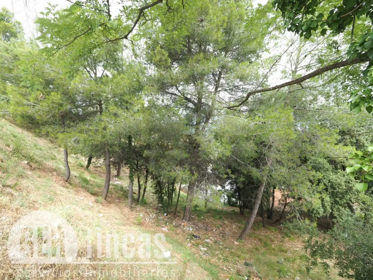 Terreno residencial en venta en Calle Falciot, imagen 13