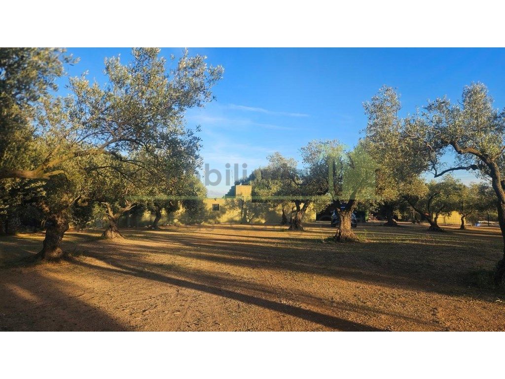 Finca rústica en venda en Canet lo Roig amb Jardí privat
