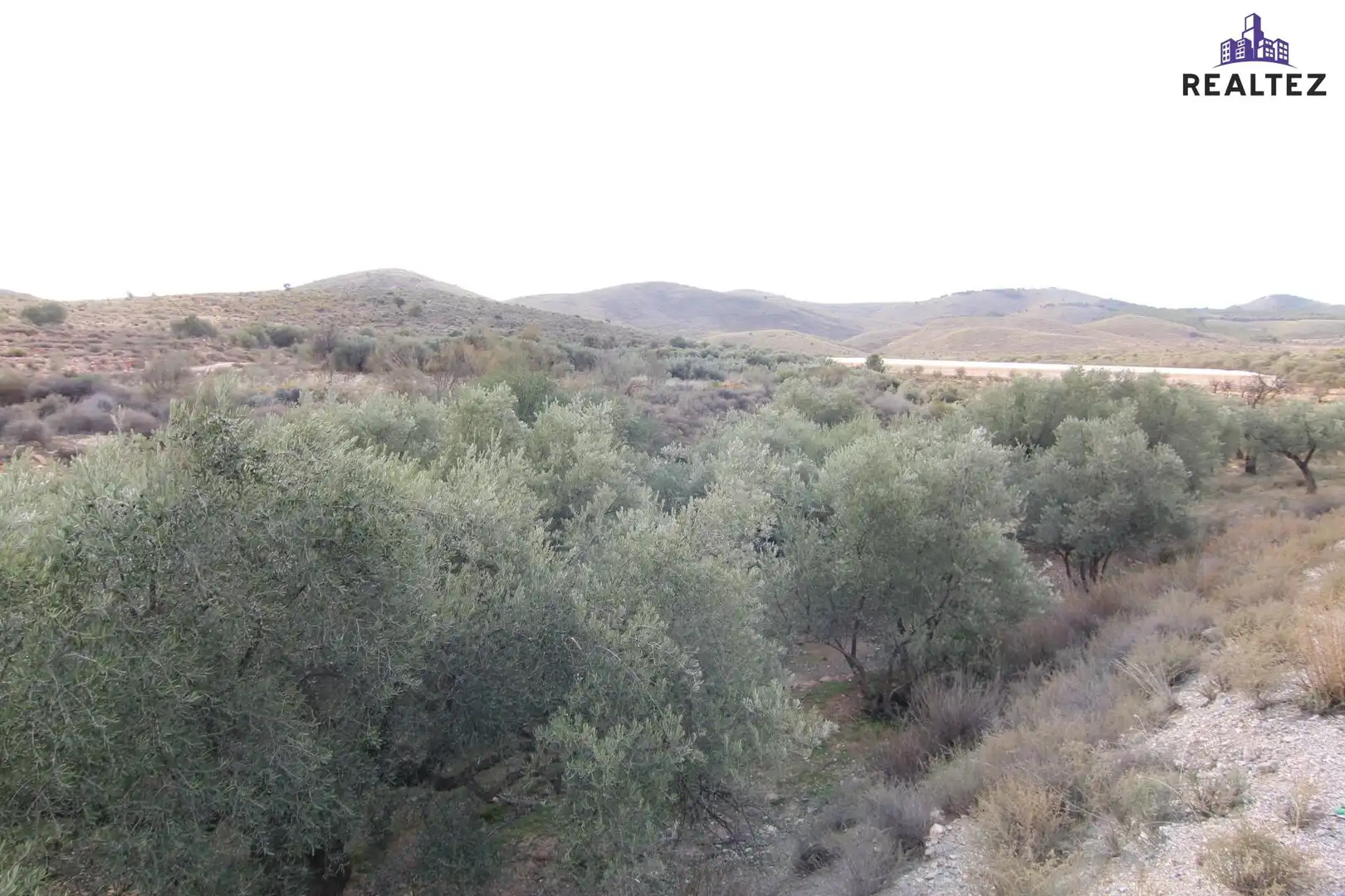 Terrain rustique à vendre à Alcolea, imagen 10
