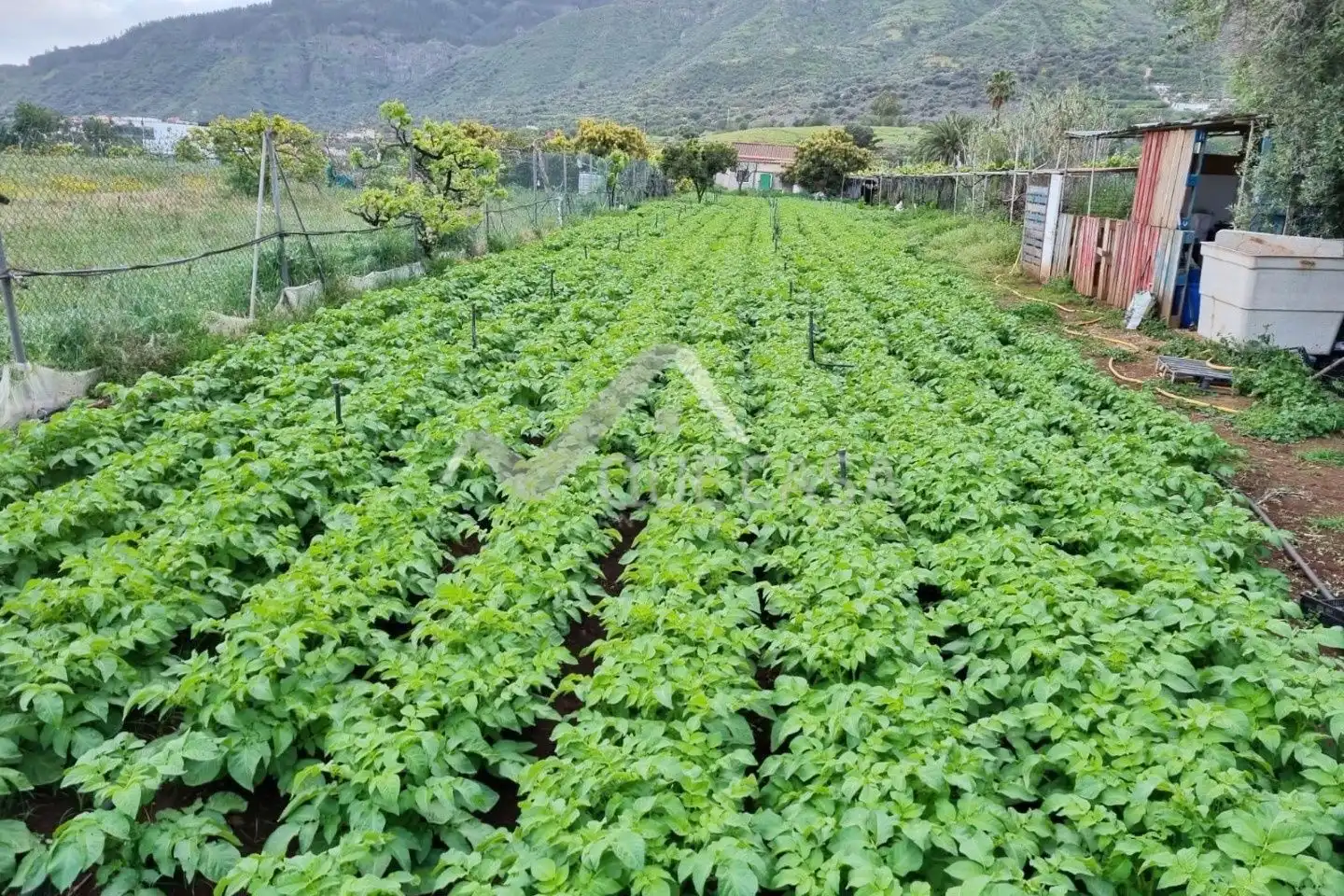 Finca rústica en venta en Valsequillo de Gran Canaria
