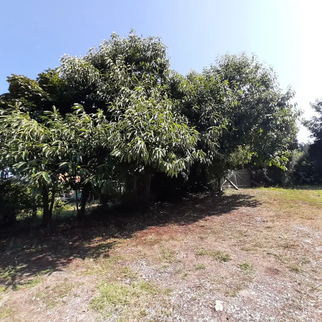 Detached house with garden for sale in LG VIVERO 1, imagen 26