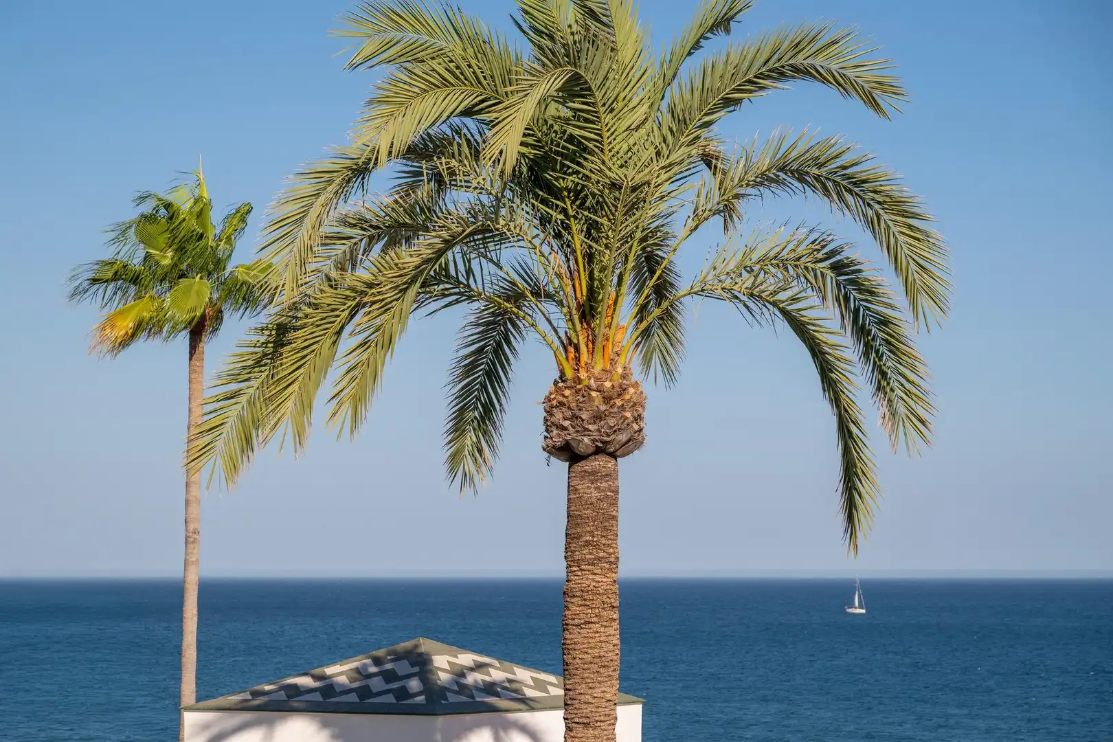 Àtic amb piscina en venda a DOMINION BEACH, imagen 25