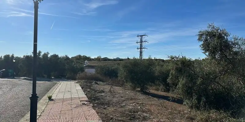 Terreny rústic en venda a Urbanización La ermita sur s3, imagen 3