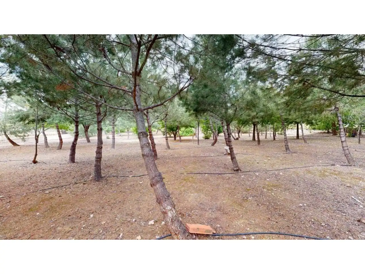 Villa con piscina in vendita a Caravaca de la Cruz, imagen 4