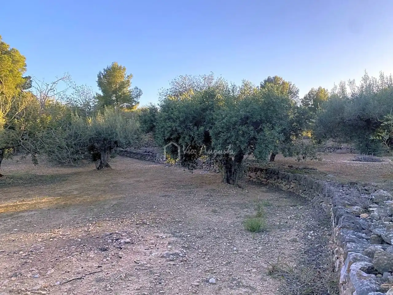 Terrain rustique à vendre à Baldiras, imagen 7