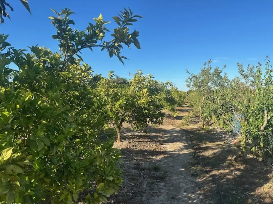Terreno en venta en Xeresa