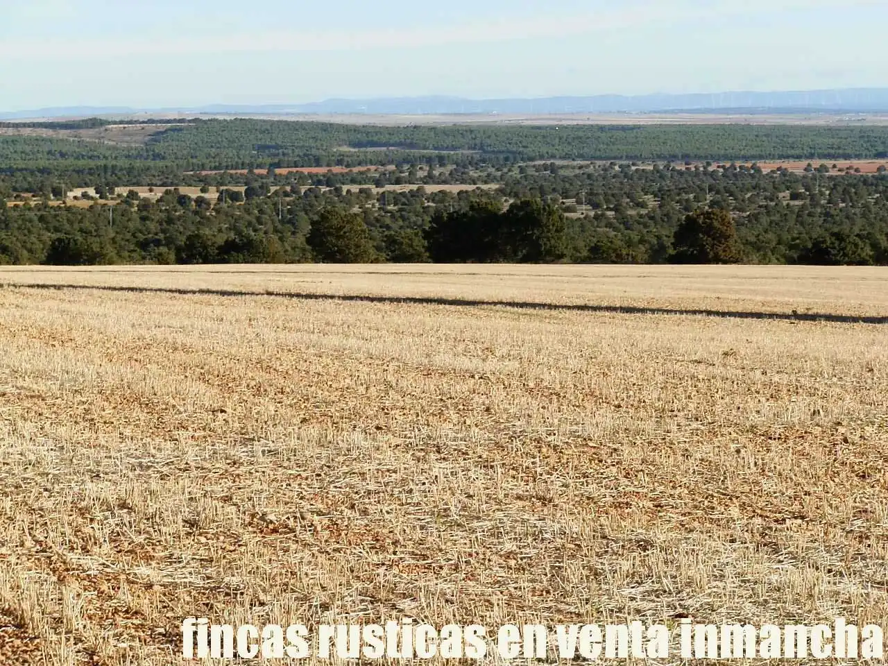 Lands and plots for sale in Ossa de Montiel, imagen 19
