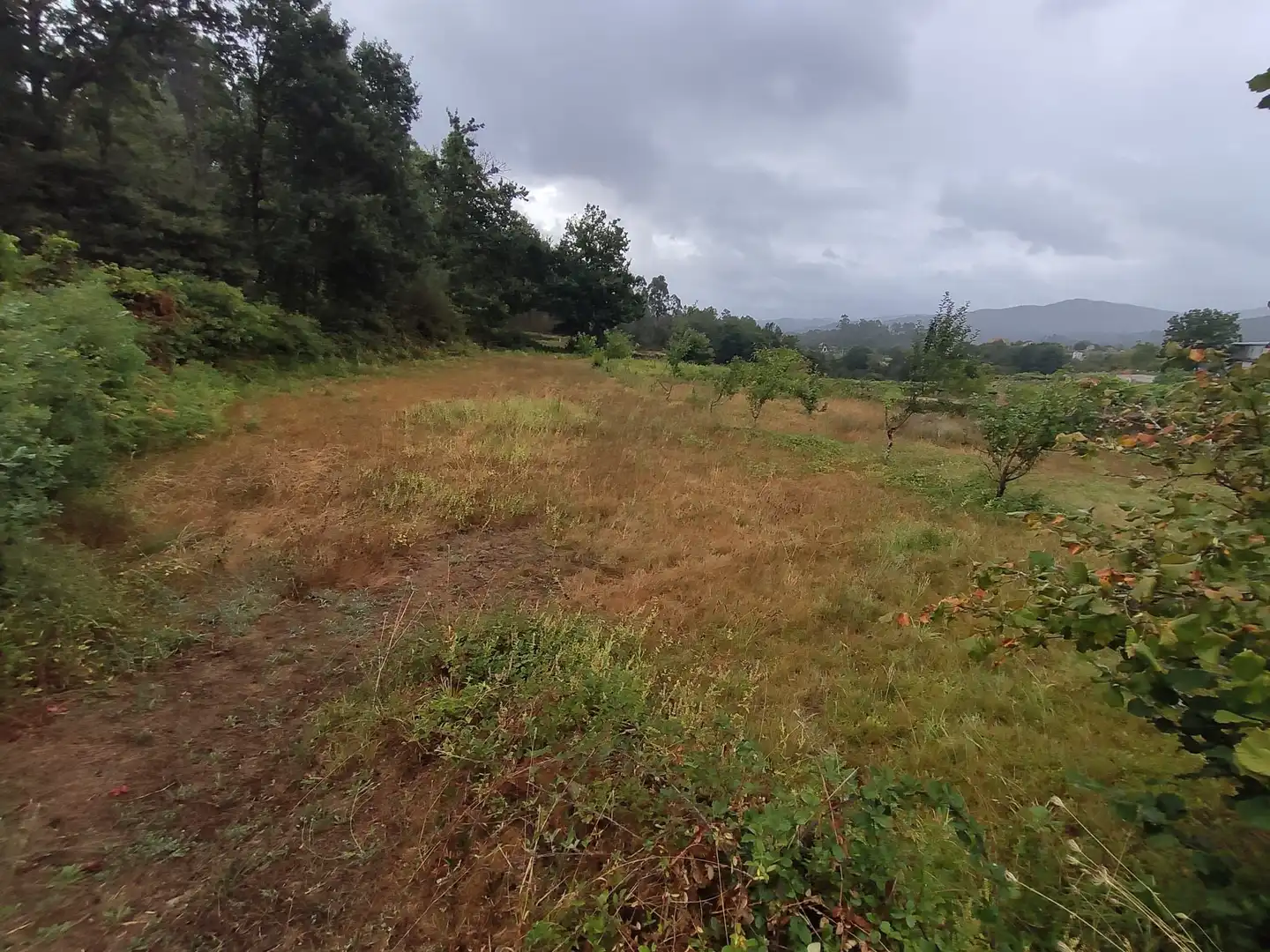 Casa amb jardí en venda a Ponteareas, imagen 4