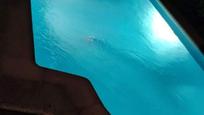 Piscina de Casa o xalet en venda en Pioz amb Calefacció i Piscina