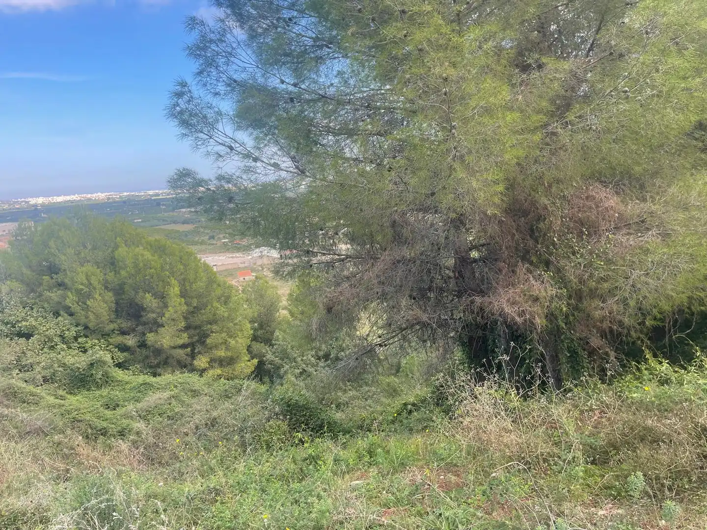 Terreno residencial en venta en Calle Salze 1, imagen 3