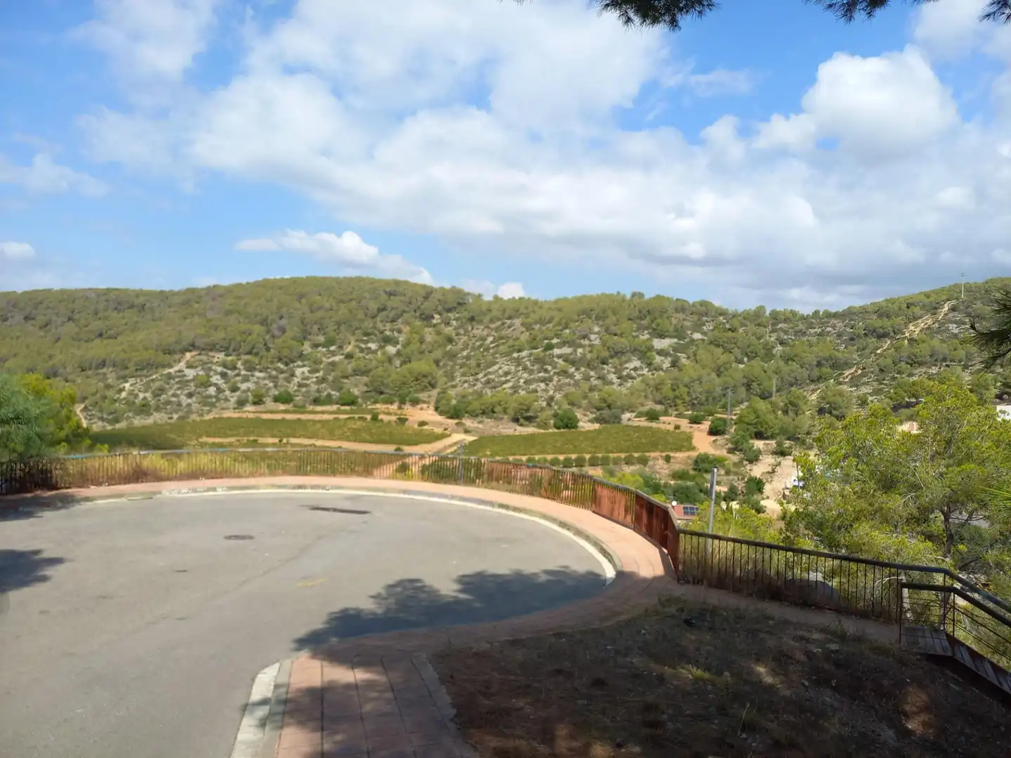 Lands and plots for sale in Carrer MIRANDA, DE LA 38