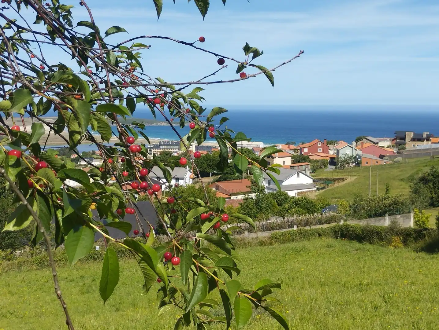Maison avec jardin à vendre à Lugar MEITUFE, imagen 35