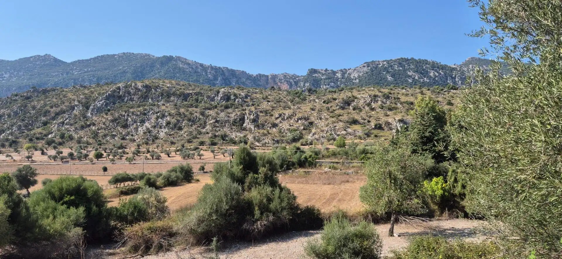 Terrenos y solares en venta en Carretera POLIGON 5 RUSTEGA, imagen 10
