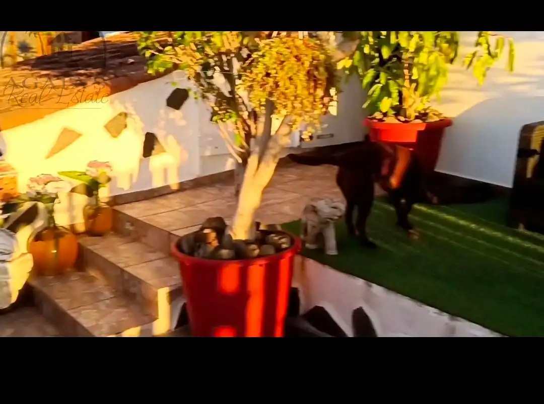 Garden of Country homes for sale in Garachico  with Private garden and Terrace