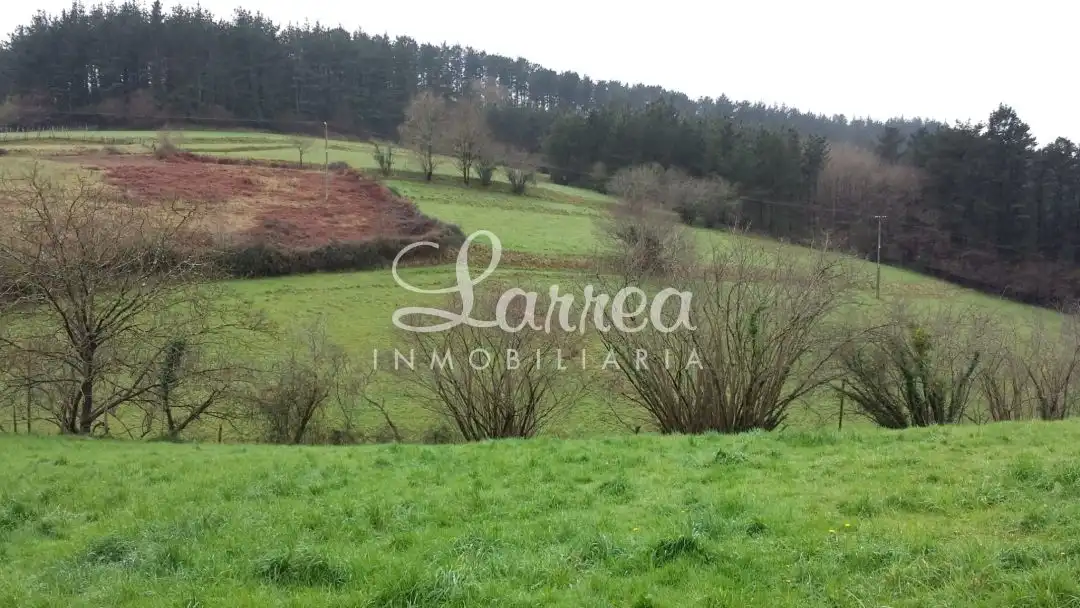 Finca rústica en venda en Larrabetzu amb Jardí privat i Balcó