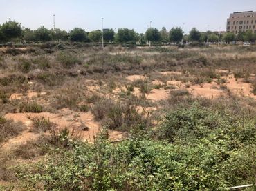 Lands and plots for sale in PALMOSA, DE 12