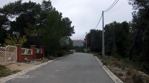 QuerolTerreno